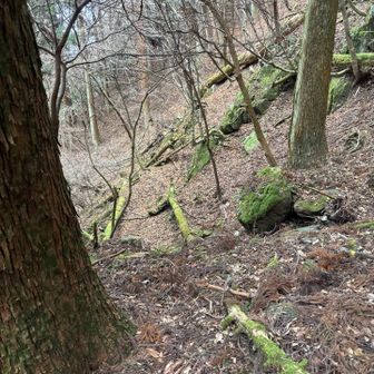 ザレ　とガレ　と落ち葉🍂🍂
雨の日大変でしょう