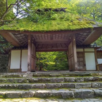 風情のある茅葺きの山門