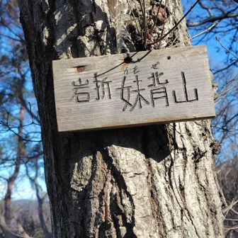 妹背（かもぜ）山
眺望❌️