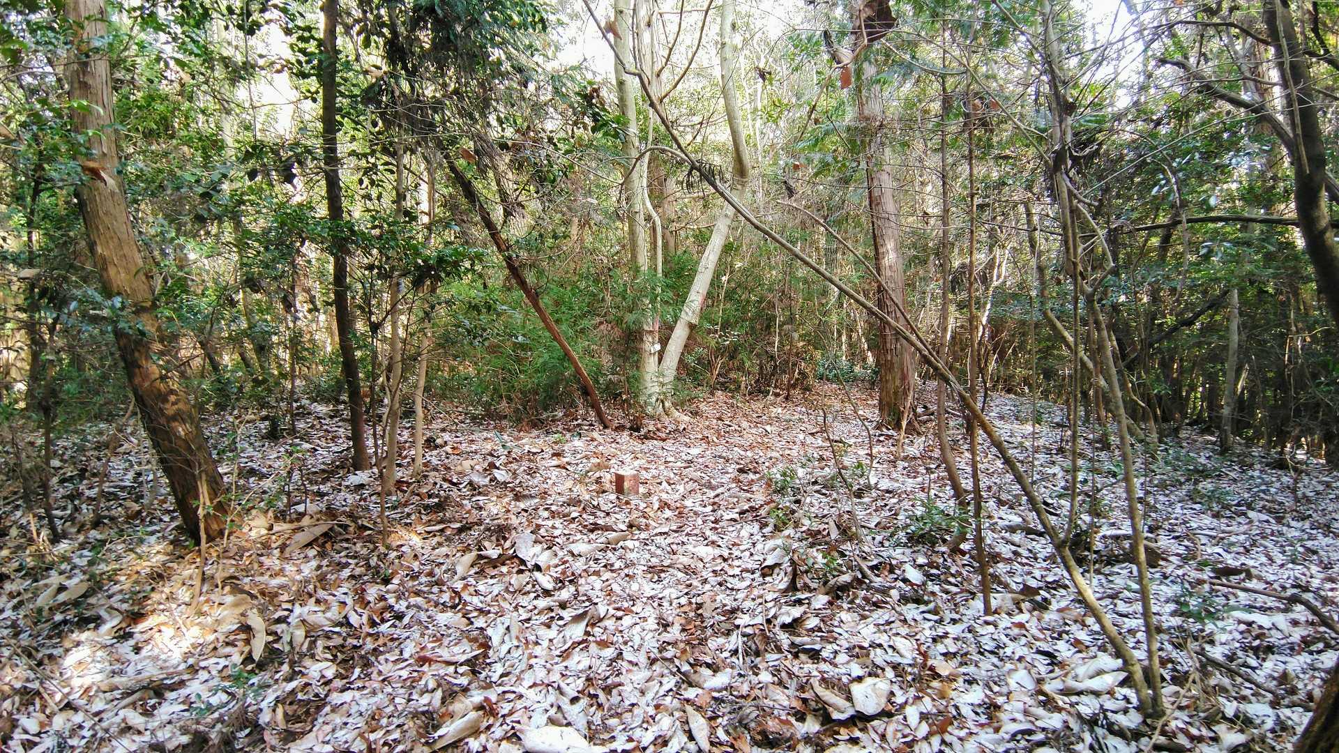 素晴らしい岡山100山🤣期待を裏切りませんね～😆