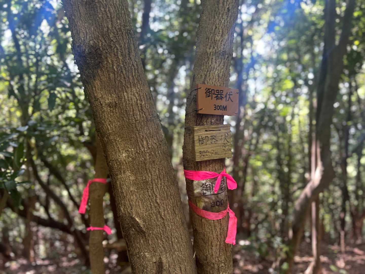 御器伏山の山頂標識
眺望はありません。