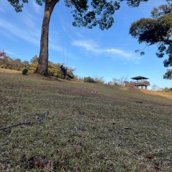 〆の恒例……♪(･ω･ = ･ω･)誰もいないよね？
①ブランコ遊び