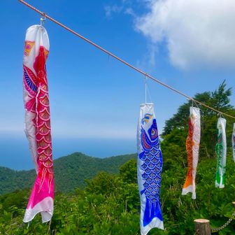 こどもの日の名残りがまだ🎏
