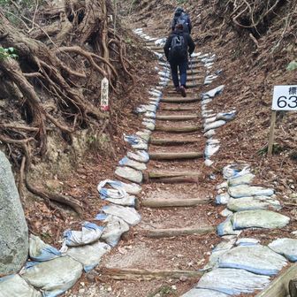 千早城跡分岐

どこでもムサシ
関西でも…