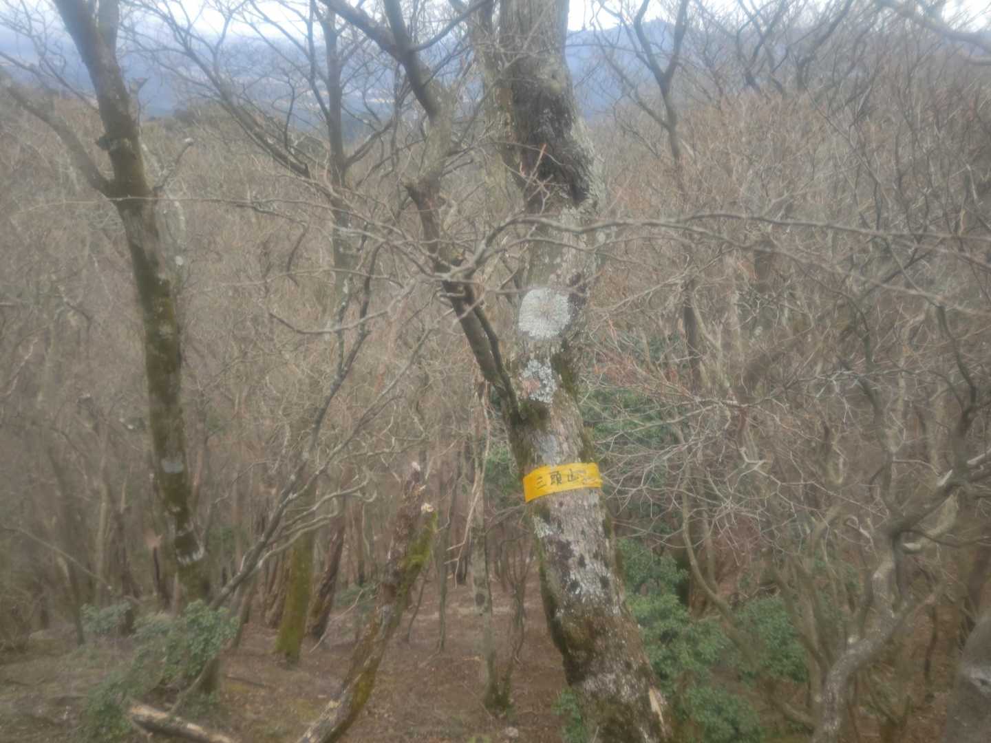2度目の三ツ頭山🚩