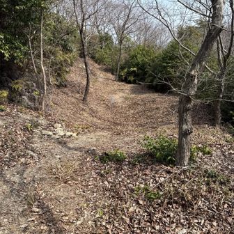 五葉城址手前の堀切と武者溜まり