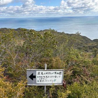 下山はやさしくない道からやな😁