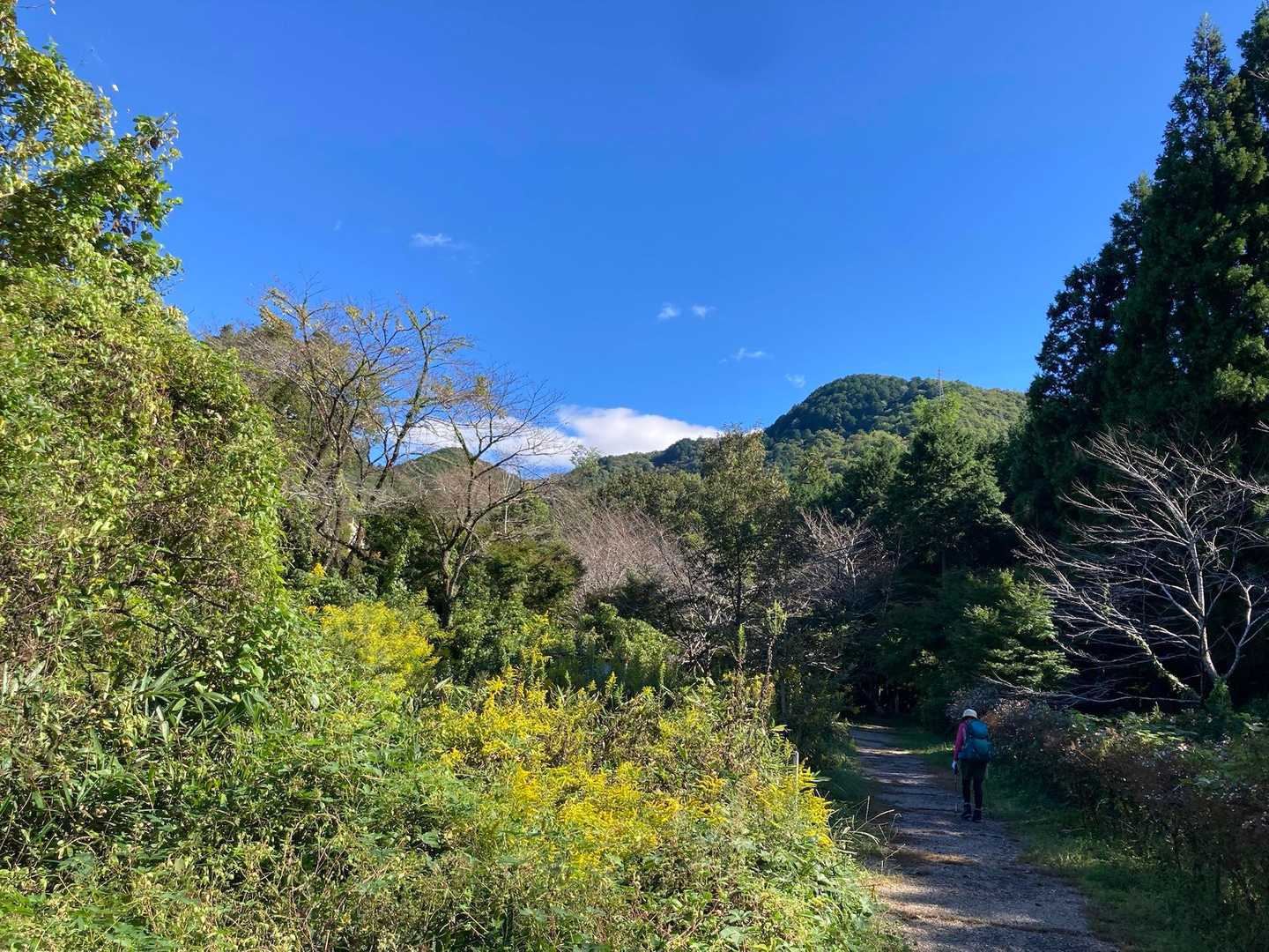 戻りました
