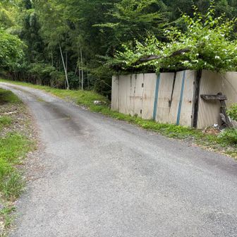 大光山の登山口。あとは舗装路だから安心、と思ってたら…