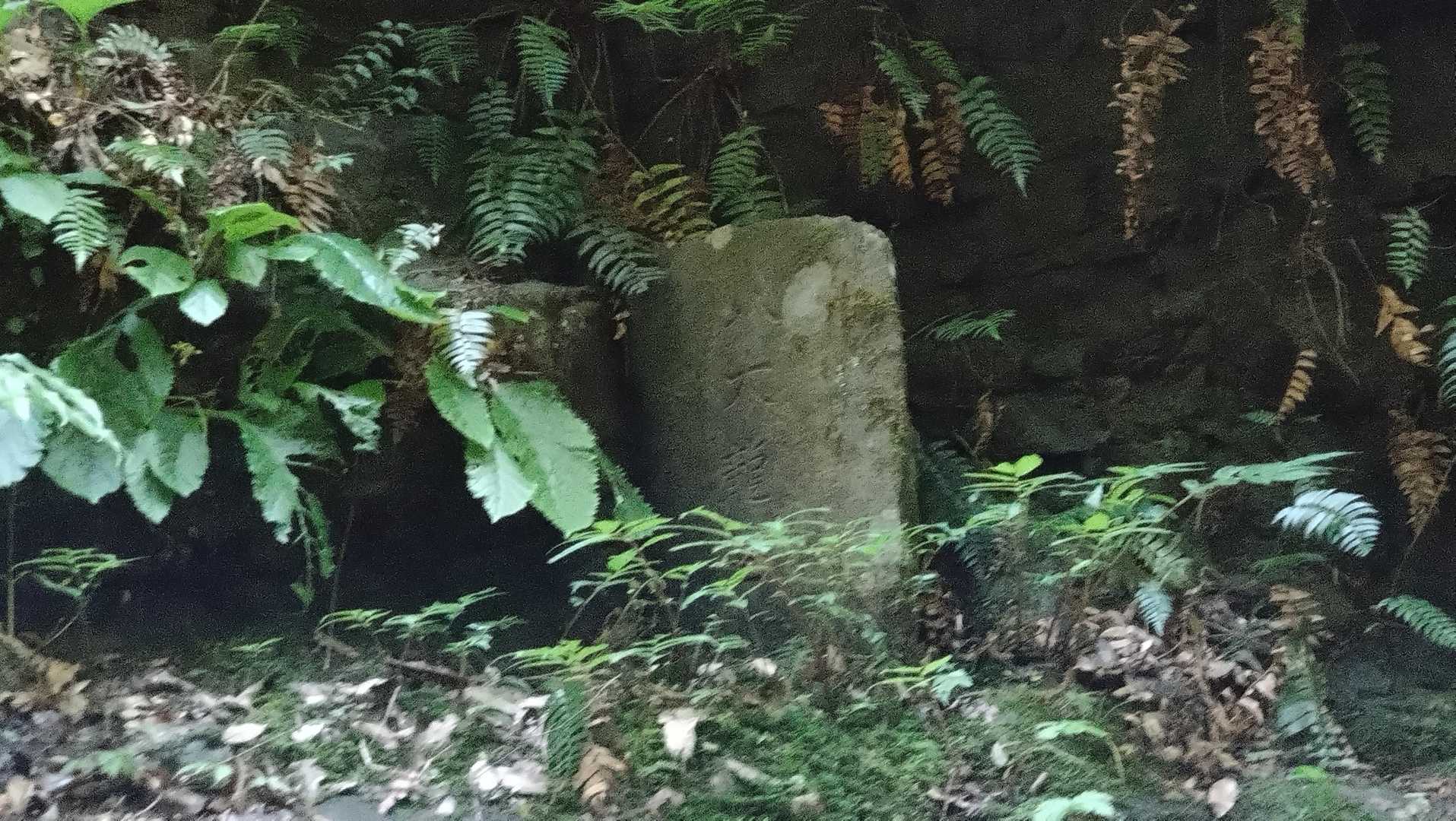 久しぶりの八大龍王碑