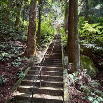 登山道