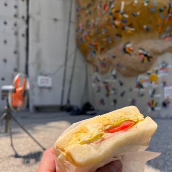 本日は久しぶりに大好きな「乃がみの生食パン」を使ってサンドウィッチ🥪を作って持参😋