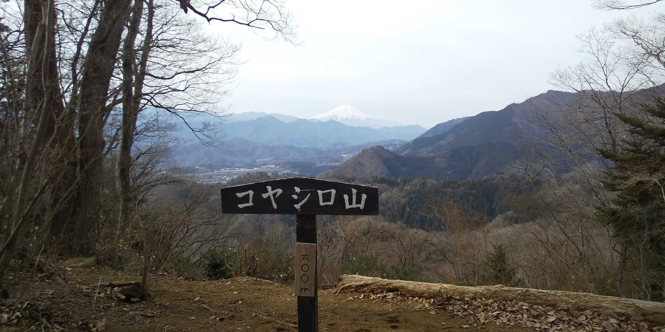 3つ目のピークハント✌️
此処が、伐採してくれた場所です😊