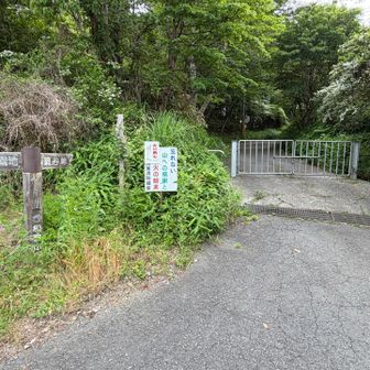 ゲートを越えて帰ります。