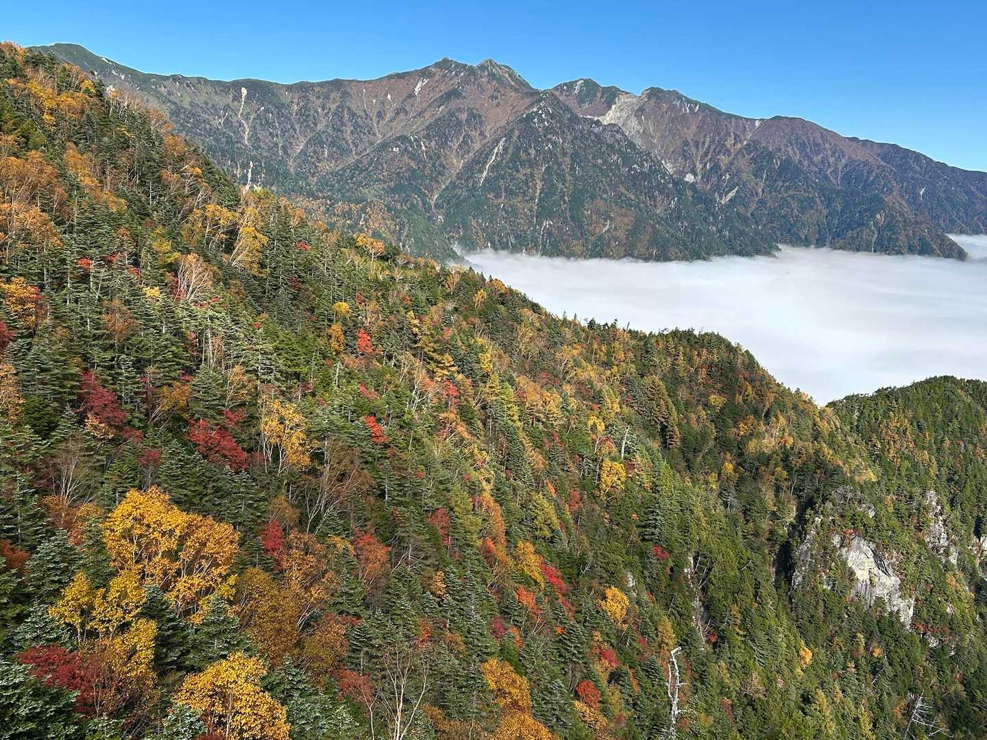 贅沢な時間…最高やなぁ！