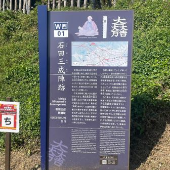 お隣の島津さんは傍観組？？