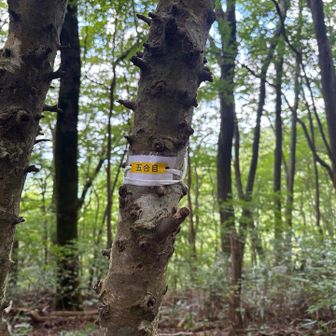 ５合目の新し標識