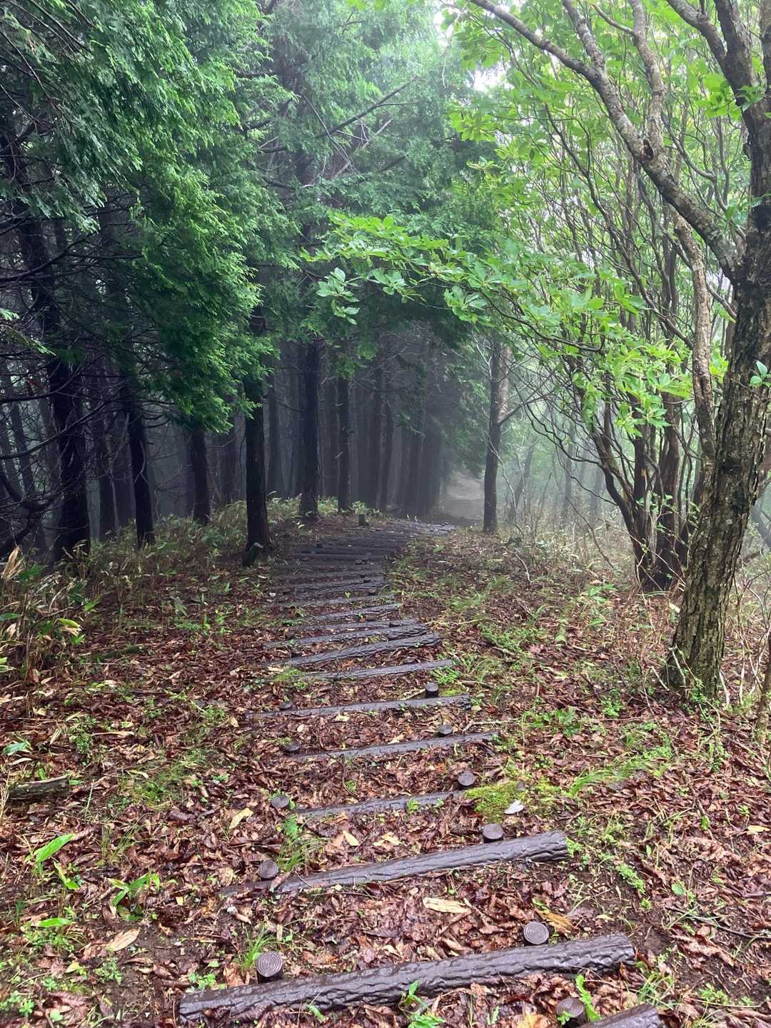 雨☔が止まない😱寒い😨21℃