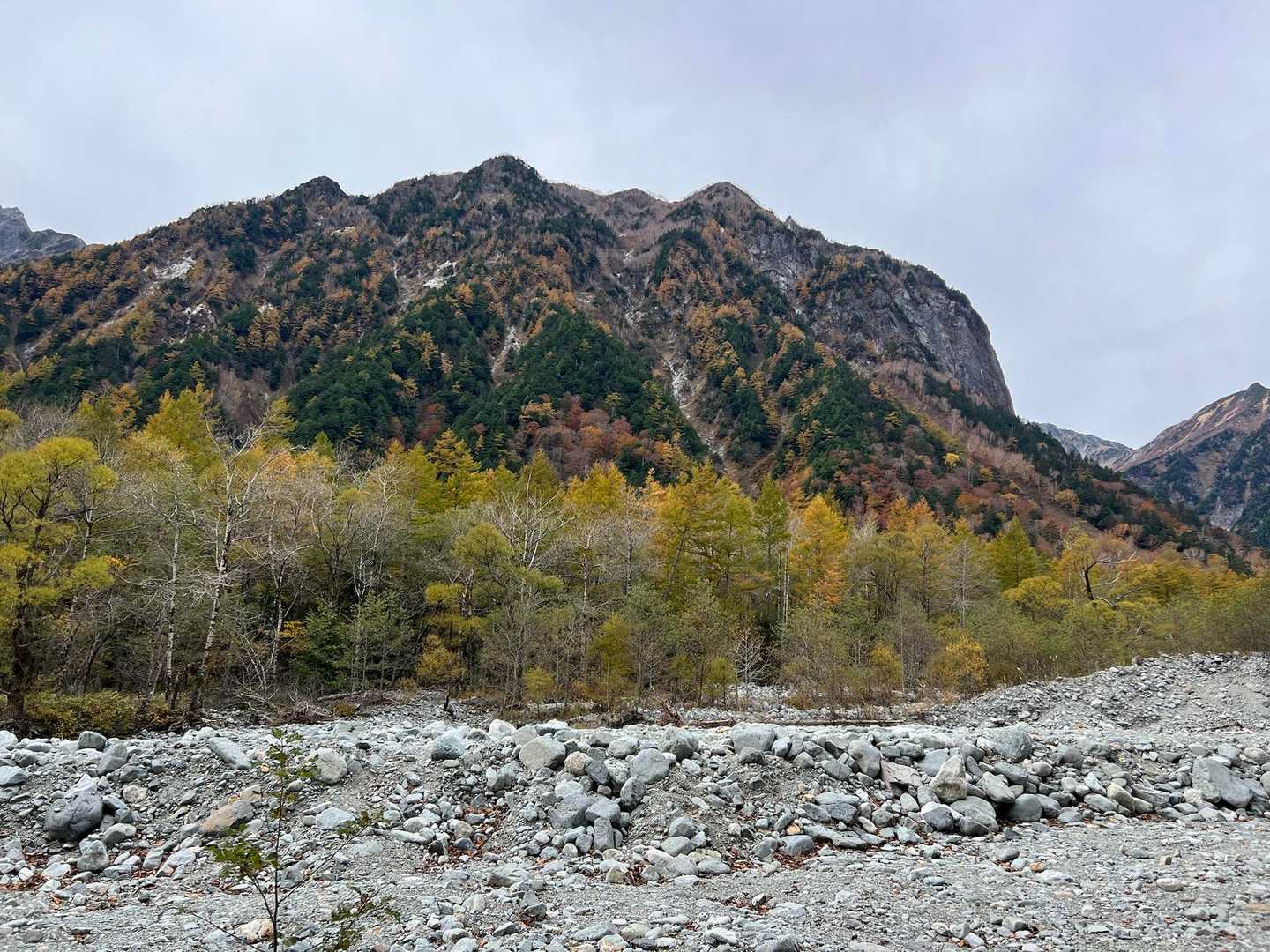 紅葉🍁を見ながら歩きたい😄

でも…