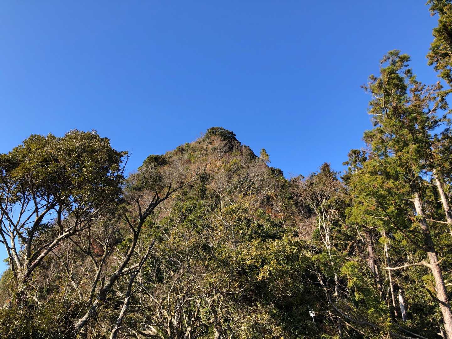 東屋から山頂を…あと少し。