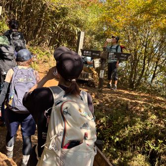 あっという間に金時登山口からの合流(笑)