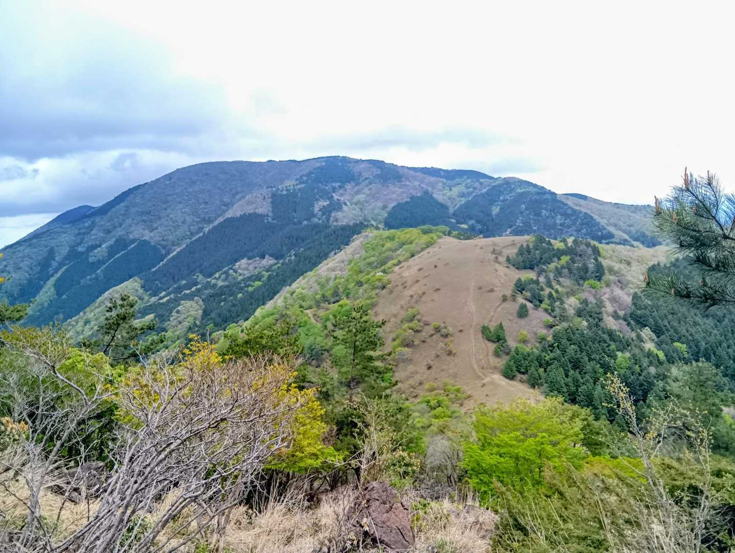 大江山(千丈ヶ嶽)・赤石ヶ岳 / ショコラ🐢の登山データ | YAMAP / ヤマップ
