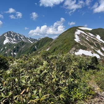 やっぱり兎に進むか。
荷物をデポ
丹後山でデポした方が良かったかも。