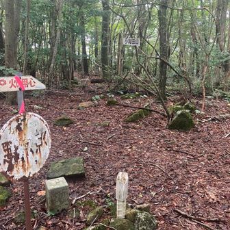小和田山の山頂です。雑木に囲まれ広くていい感じなのですが、やっぱり展望はありませんでした＞＜