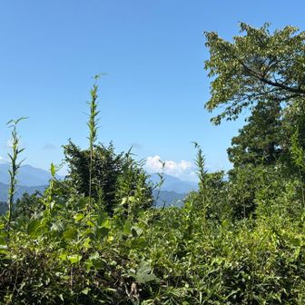 もみじ平の小屋って無くなったんですか？
