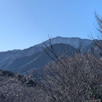 大山方面。
塔ノ岳の火事でヘリコプター凄いです。
早く鎮火しますように🙏