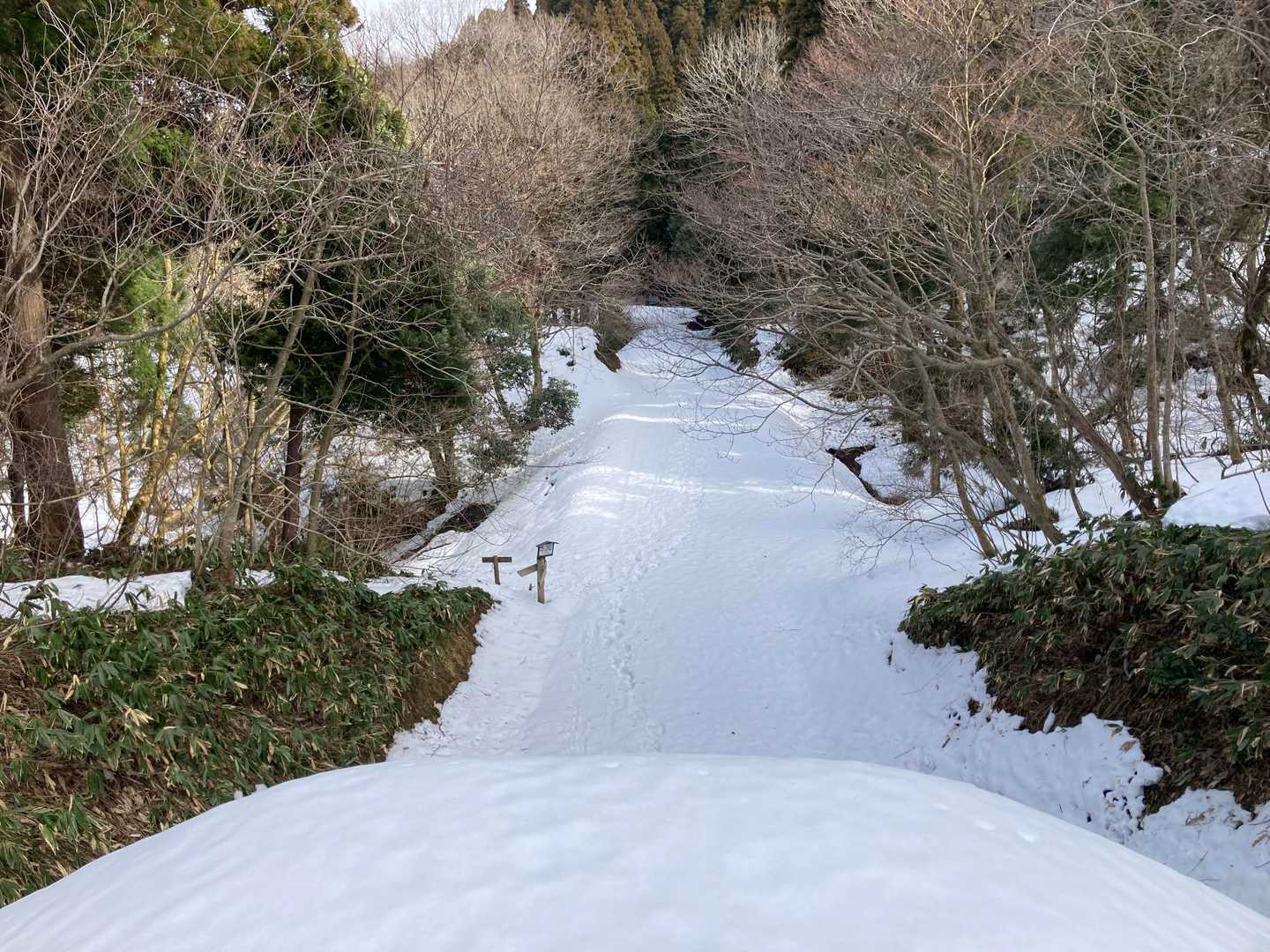 トンネルの上から
