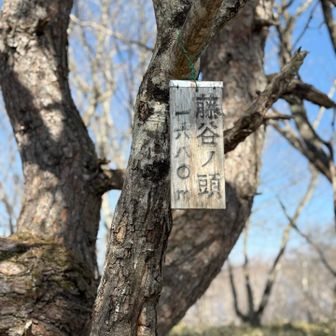 
この先もいくつかのピークを進んで、戻る人もいます。累積1500M歩かないと😅なので、ここで戻ります。
