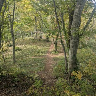 マルコ·パゴット