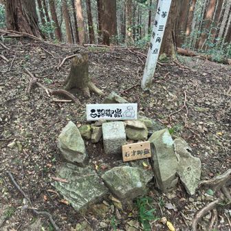 石津御嶽の三角点はなぜか頂上手前の中途半端な場所にある。
見落としかけた。