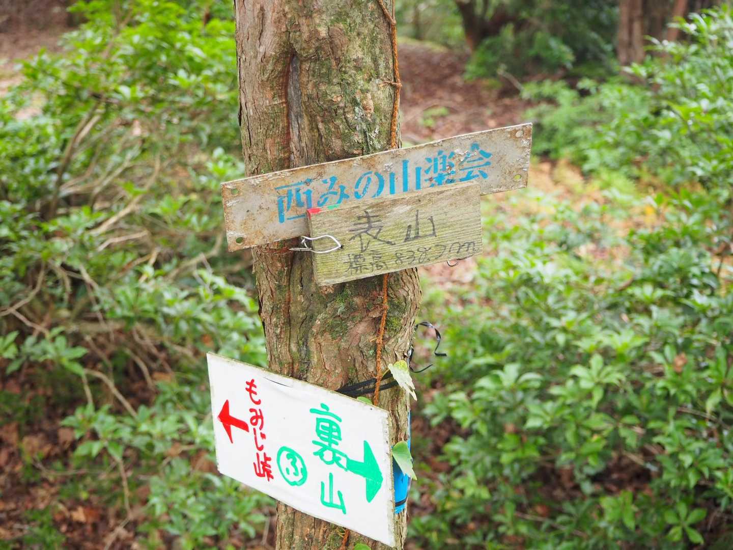 表山山頂！