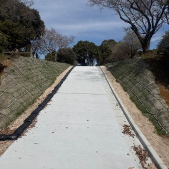 道新しくなってる？？