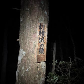 池口岳までなんこもピーク超えてアップダウン