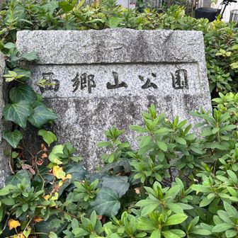 カバーに決定✨️
③小廬山へつづく
https://yamap.com/activities/44818205