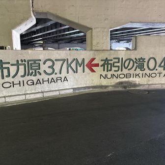 ほんとはここから甲山⛰️行く予定だったけど、色々あって帰らないといけなくなりました〜💦