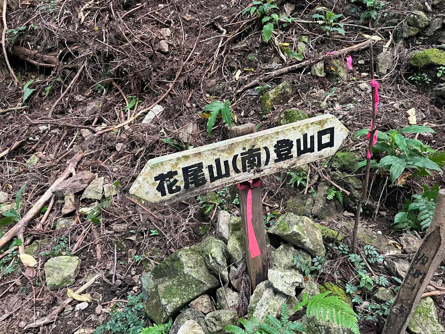 南の方から登りましたー