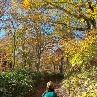 紅葉の中を歩けるって幸せだな🍁

今年はいつのまに秋になったのか
わからなかったよ💦