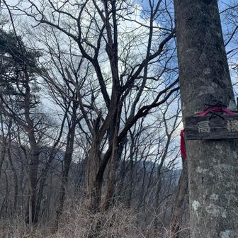 本日5座目。
あまり眺望はありません。
一旦駐車場に戻ります。