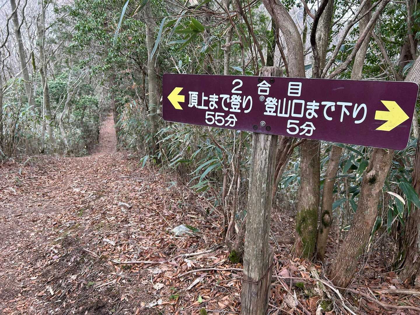 こっそりさっきの二上山雄岳がこたえてて、もう帰りたくなった😂しれーっと下ってよかですか？😂