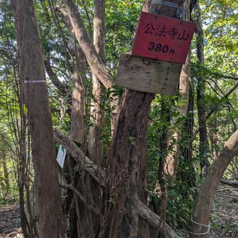 弘法寺山🏁
この後激下り💦
「登りだったらキツイねぇ……」って話してて……