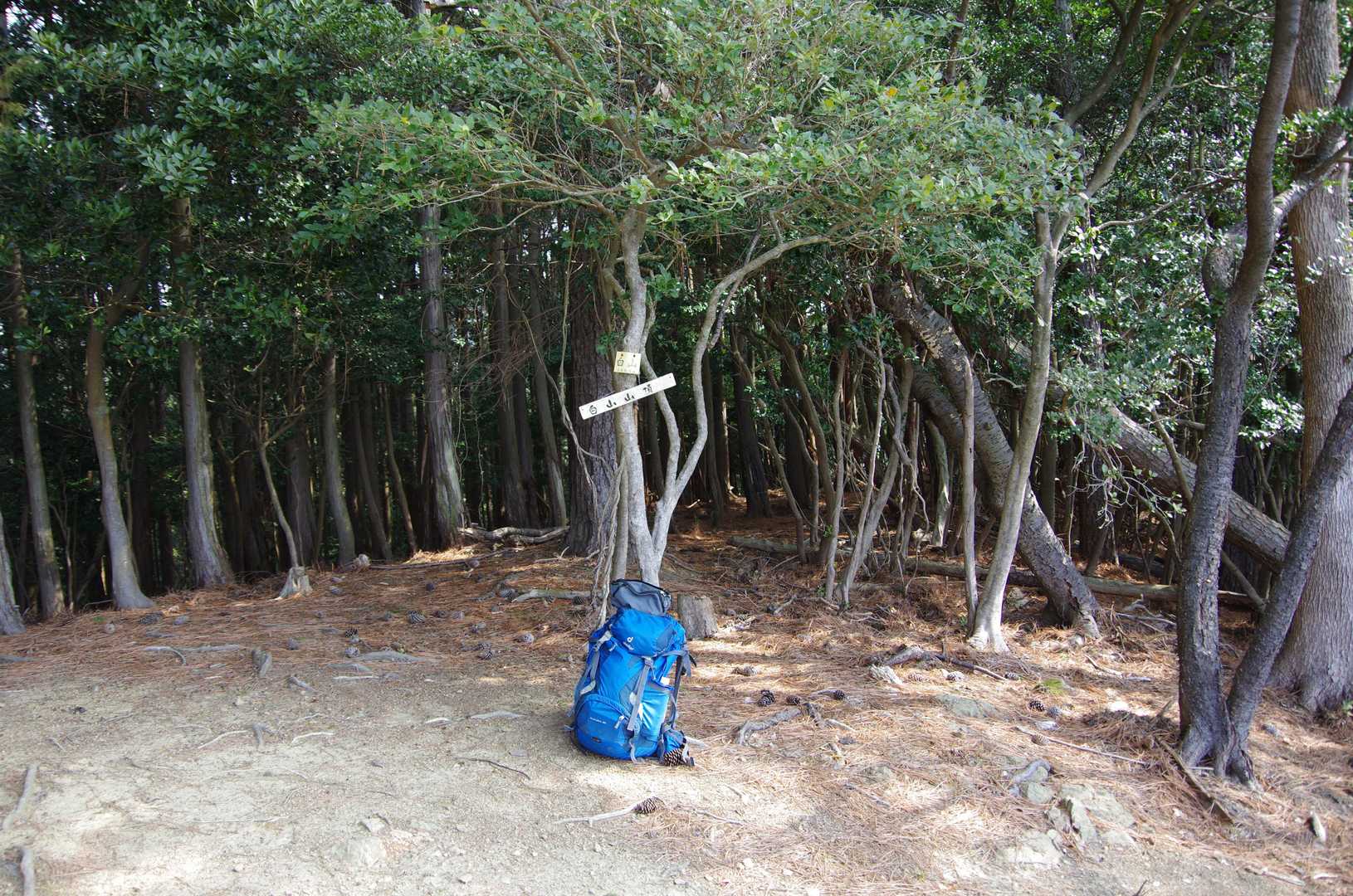 白山山頂