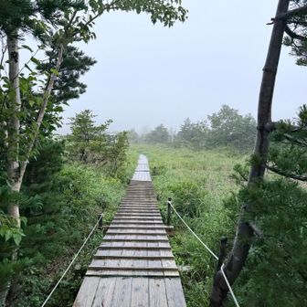 霧雨の中スタート🐾