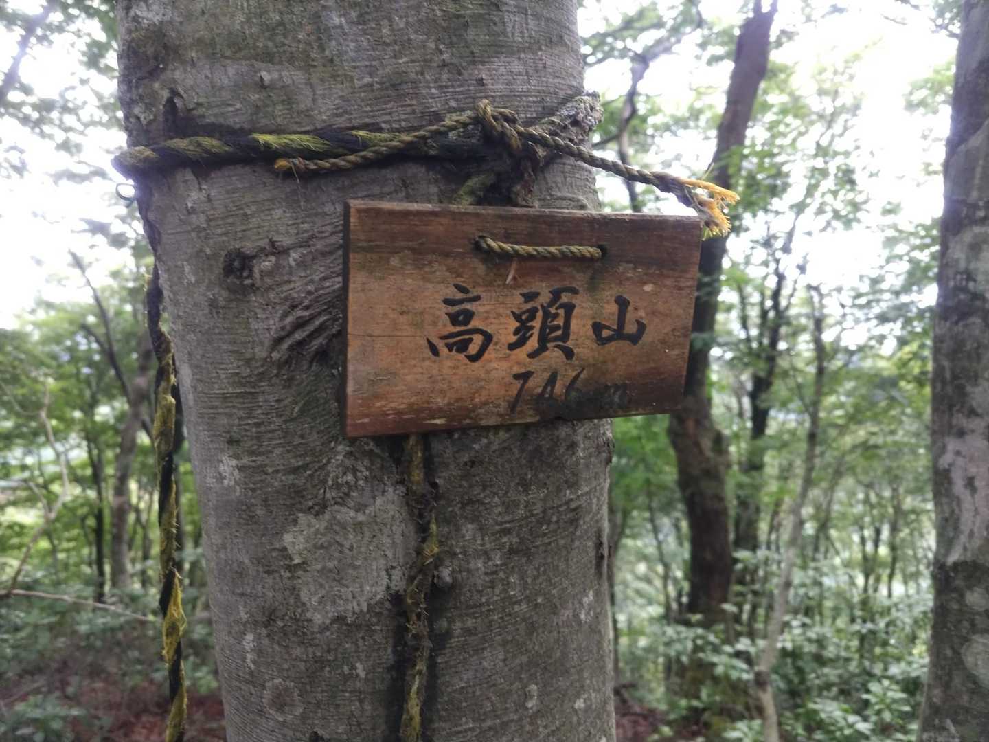 高頭山来ました