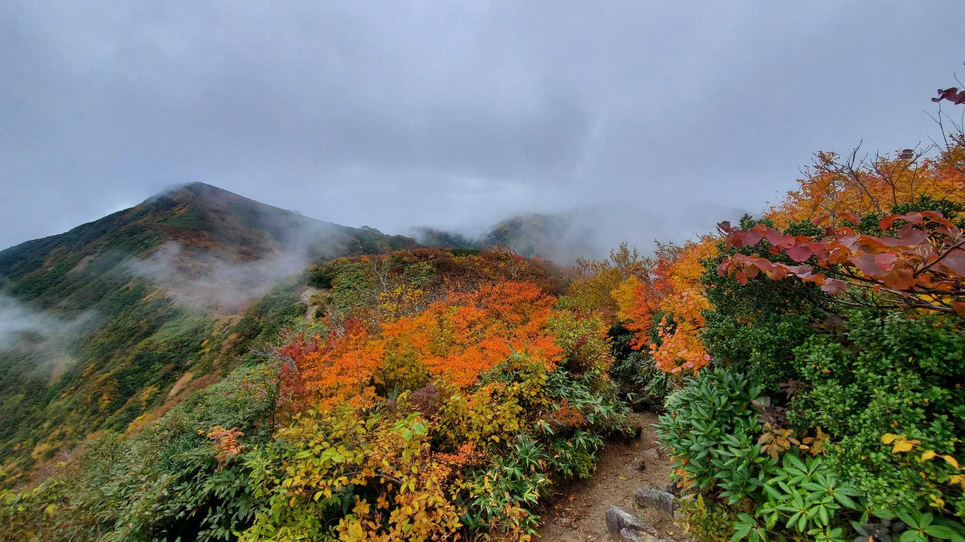 まるで電球を灯したかの様に鮮やかな紅葉🍁
ゆっくり 見ていたかった……