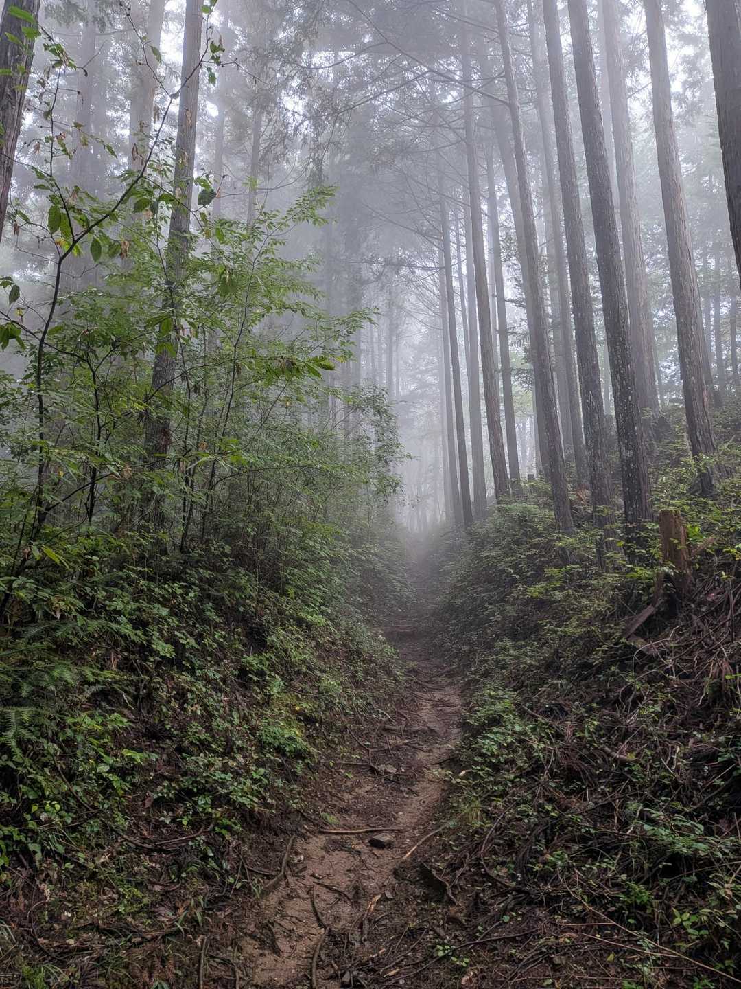 あの世行きですね😇