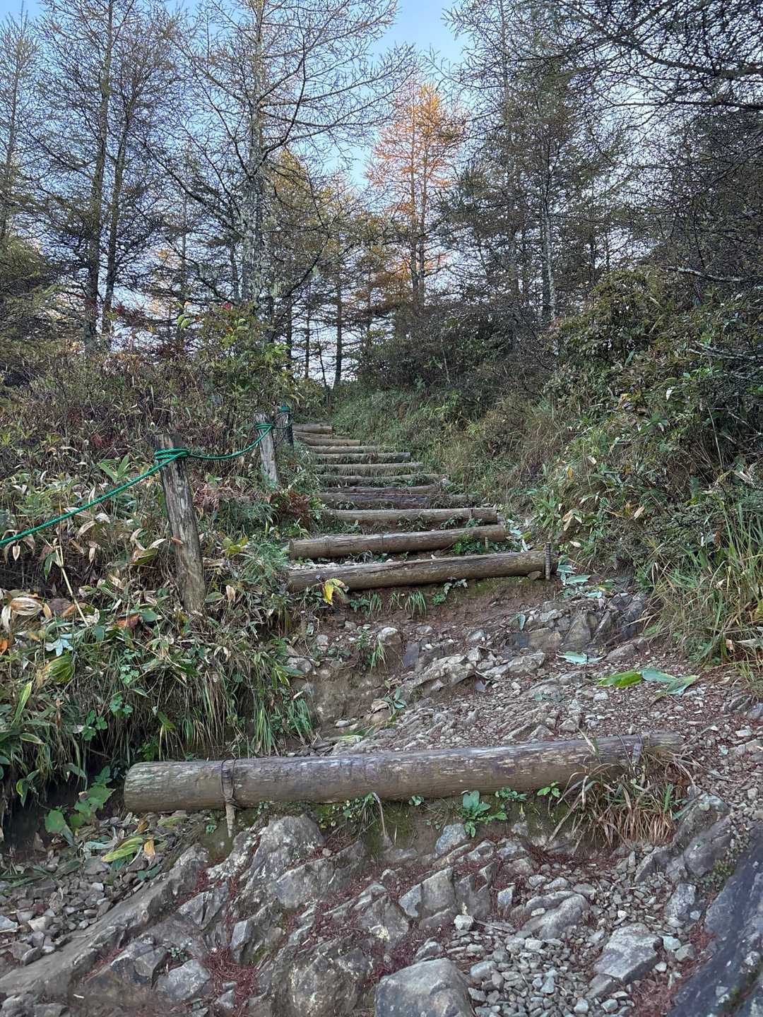 階段登ったら到着